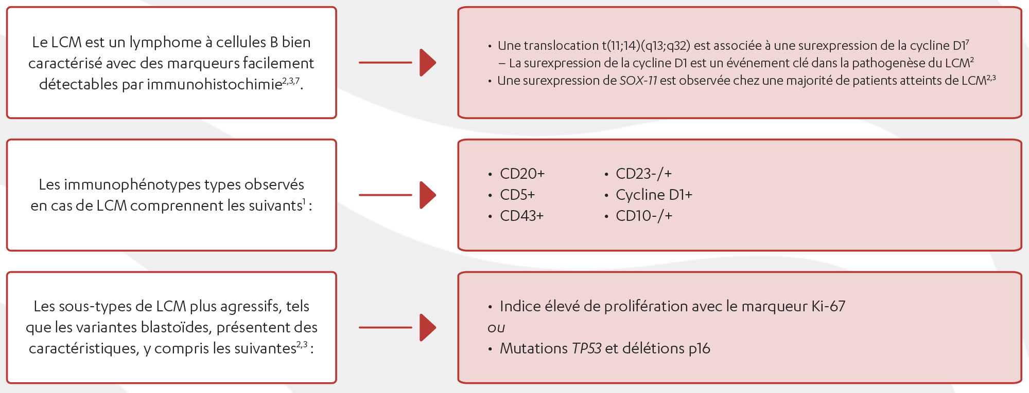 Diagramme illustrant l’immunophénotypage du LCM :

    Le LCM est un lymphome à cellules B bien caractérisé avec des marqueurs facilement détectables par immunohistochimie2,3,6. 
    •	Une translocation t(11;14)(q13;q32) est associée à une surexpression de la cycline D16 
    o	La surexpression de la cycline D1 est un événement clé dans la pathogenèse du LCM2 
    •	Une surexpression de SOX-11 est observée chez une majorité de patients atteints de LCM2,3 

    La majorité des cas de LCM présentent également l’expression de7 : 
    •	CD20
    •	CD5
    •	BCL2

    Les sous-types de LCM plus agressifs, tels que les variantes blastoïdes, présentent des caractéristiques, y compris les suivantes2,3 : 
    •	Indice élevé de prolifération avec le marqueur Ki-67 
    ou 
    Mutations TP53 et délétions p16