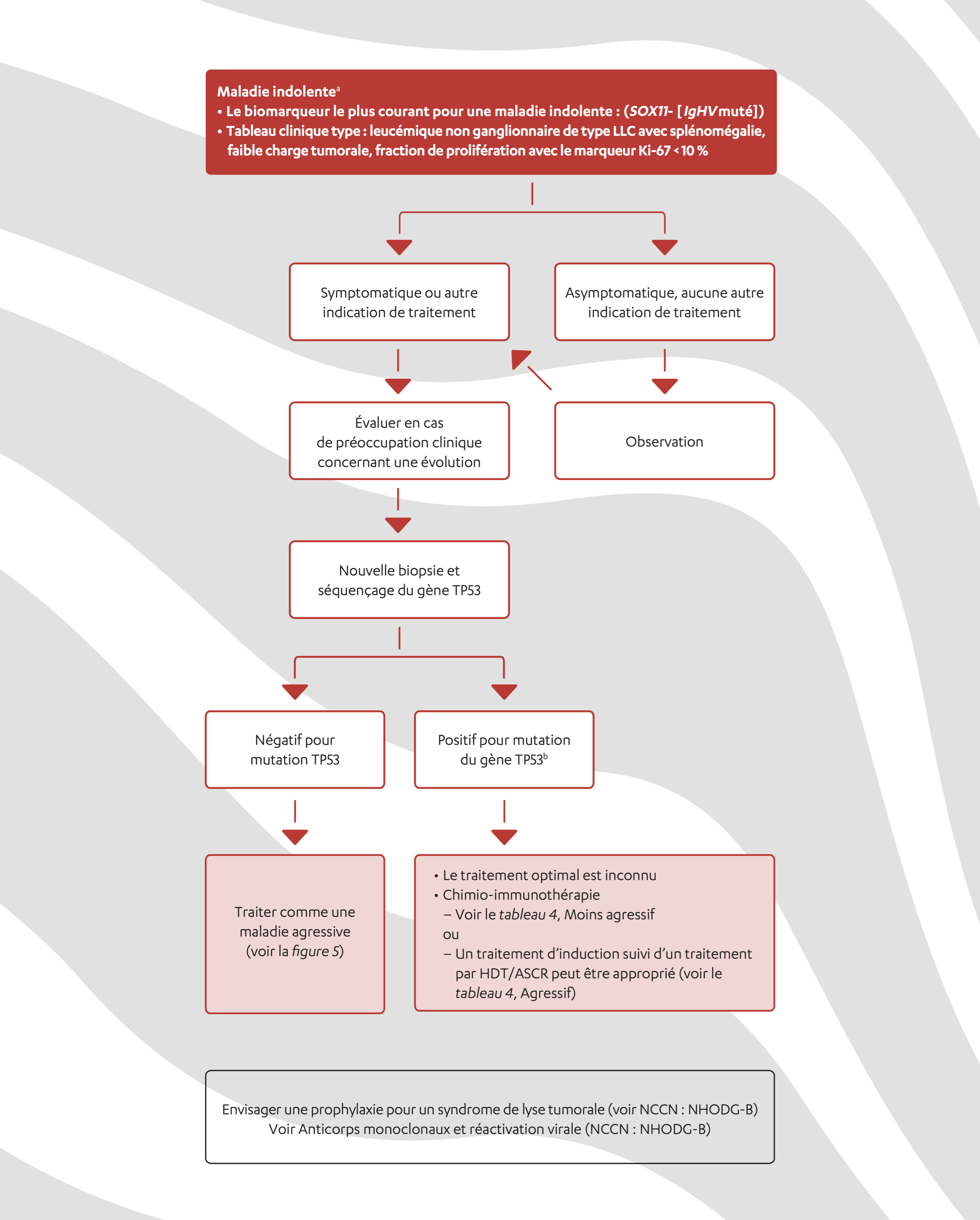 Un organigramme décrivant les recommandations du NCCN axées sur le parcours thérapeutique pour le lymphome à cellules du manteau indolent
