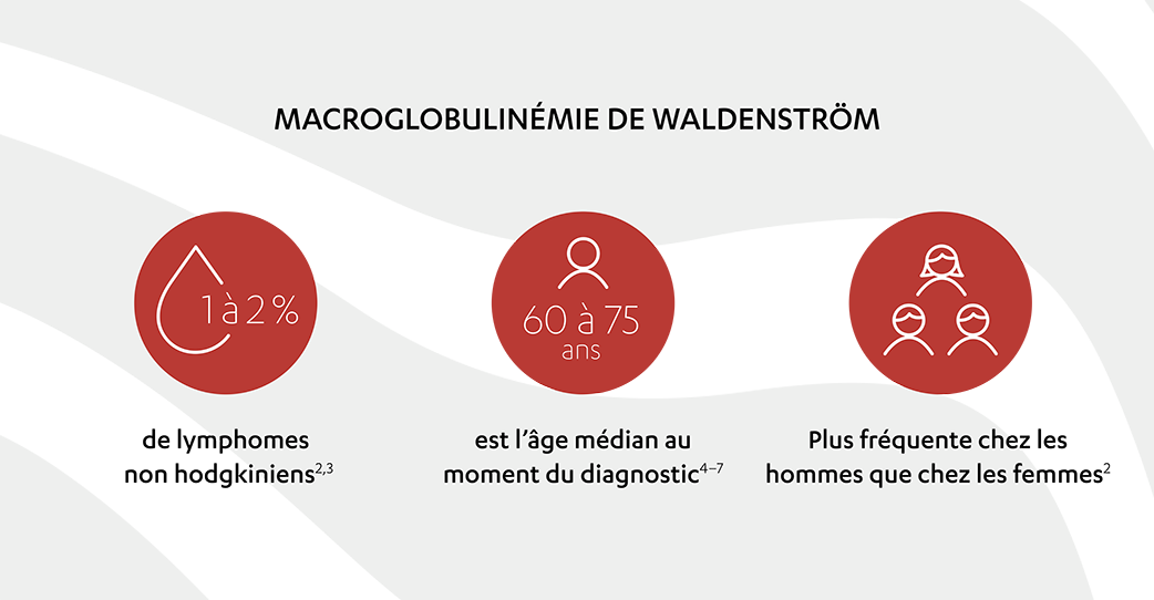 Une infographie indiquant que la MW représente 1 à 2 % des cas de lymphome non hodgkinien, que l’âge médian est de 60 à 75 ans au moment du diagnostic de MW, et que la MW est deux fois plus fréquente chez les hommes que chez les femmes.