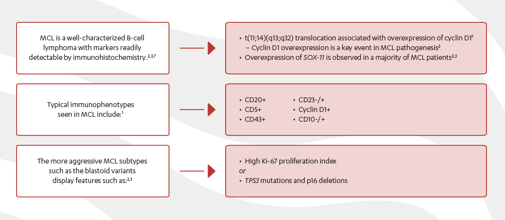 mcl diagnose figure 2 zoom